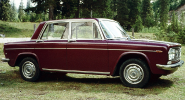 Fulvia Berlina